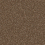 Horizon Twist Biscotti