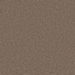 Horizon Twist GingerNut